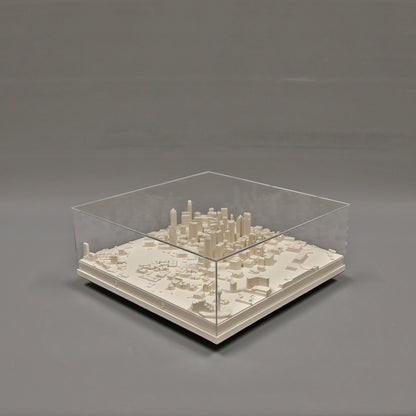 Dallas City Scape